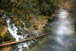 Waterfall at the South Santiam River