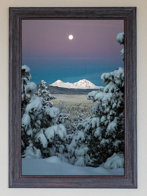 This Is Why We Live Here FRAMED