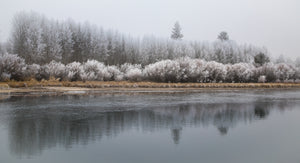 Winter Frost On The Deschutes