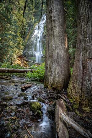 Proxy Falls Perspective