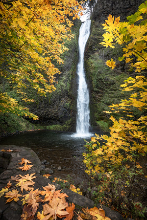 Horsetail Falls in the Columbia River Gorge
