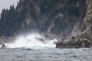 Scene from Resurrection Bay, Alaska