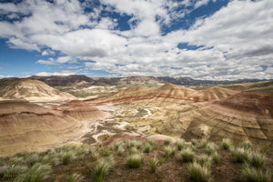The Painted Hills SALE