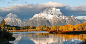 Fall Glory At Oxbow Bend
