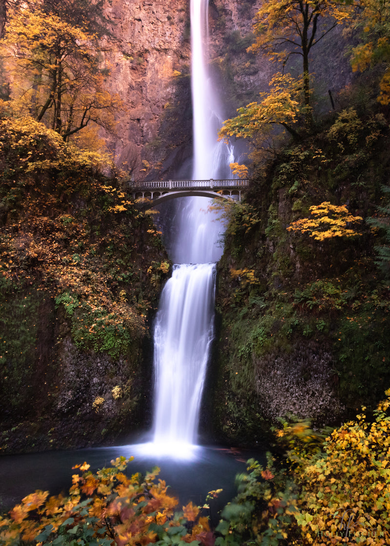 Proxy Falls Flow - Holly Fischer Photography