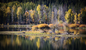 Fall ReflectionsIn Grand Teton National Park