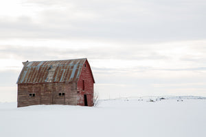 The Lonely Barn